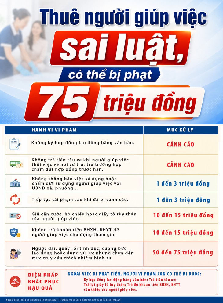 Thuê người giúp việc đúng luật và bảo hiểm xã hội để tránh phạt 75 triệu đồng - Ảnh 1.