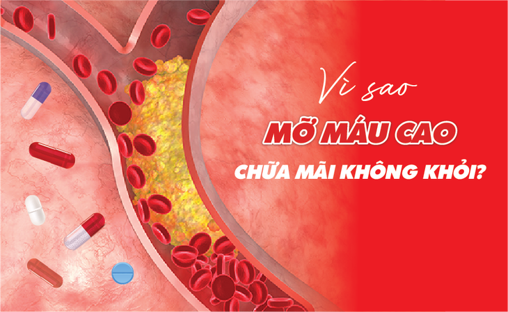 Chuyên gia lý giải nguyên nhân mỡ máu cao dễ mắc khó chữa- Ảnh 1.