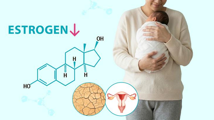 Phụ nữ sau sinh và bài toán cải thiện 'khô hạn' an toàn, không hormone - Ảnh 1.