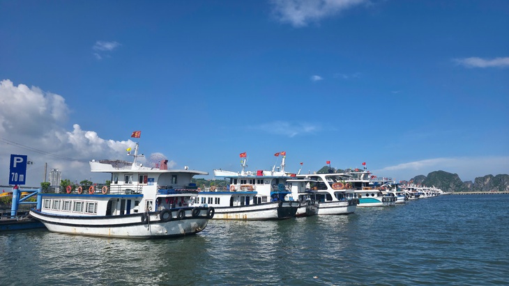 Quảng Ninh ứng phó bão số 1: Không để xảy ra tình huống bị động, bất ngờ- Ảnh 1.