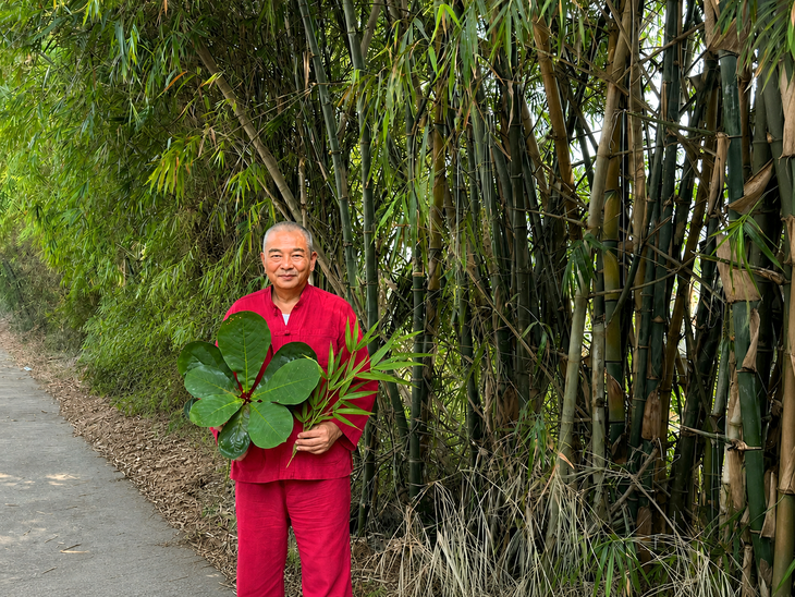Đánh thức 'vàng xanh' Nam dược - Hành trình không ngừng nghỉ của 'Lão Nhà Quê'- Ảnh 1.