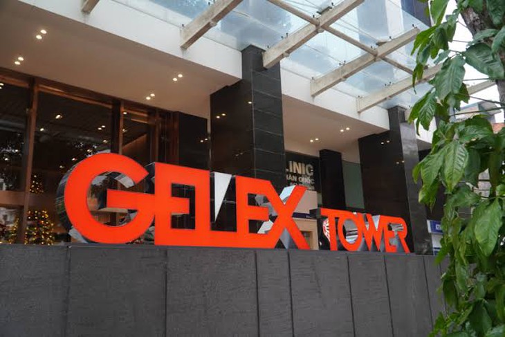 Tập đoàn Gelex vi phạm chứng khoán - Ảnh 1.
