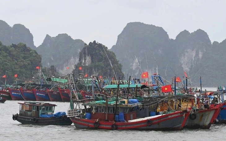 Hoàn lưu rìa xa của bão số 1 gây mưa dông cho Thủ đô Hà Nội chiều nay - Ảnh 2.