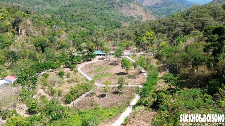 Nơi ăn nghỉ đặc biệt của đàn động vật lai quý hiếm ở Khánh Hòa- Ảnh 2.