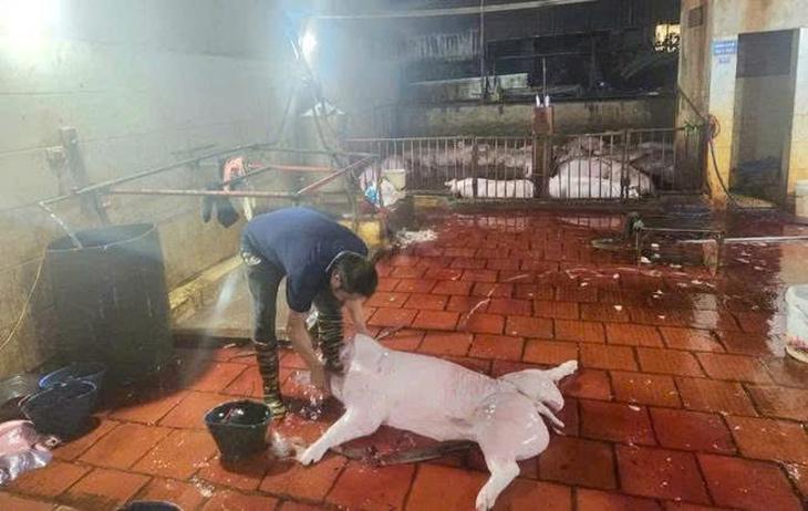 Hà Nội: Phát hiện 2 cơ sở giết mổ lợn không đảm bảo điều kiện vệ sinh- Ảnh 1.