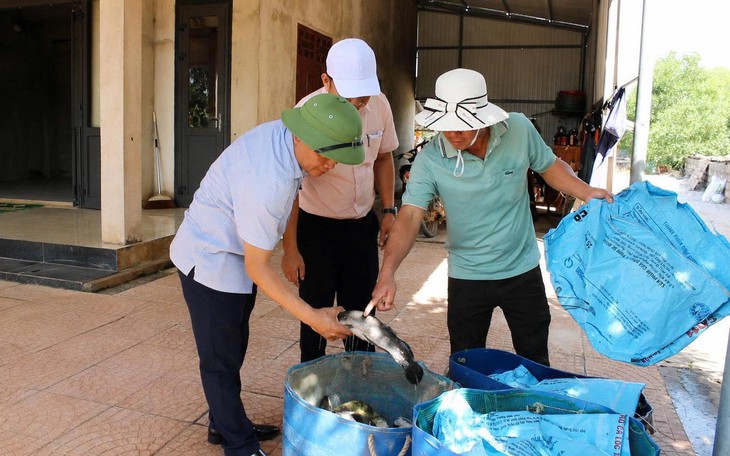 Sét đánh giữa đồng, hai người thương vong- Ảnh 2.