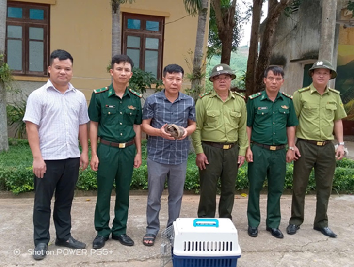 Loài động vật quý hiếm bọc giáp đầy mình lạc vào nhà dân- Ảnh 1.