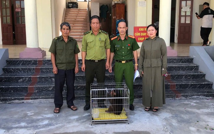 Bảo tàng ở Huế tiếp nhận tiêu bản động vật hoang dã quý hiếm- Ảnh 2.