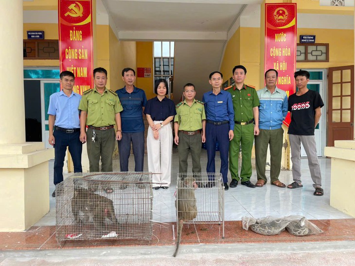 Người dân Hải Phòng giao nộp nhiều động vật quý hiếm- Ảnh 1.