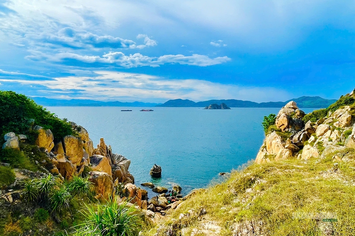 Khám phá Đồi Cổ Thạch, nơi đá và cây 'kể chuyện' trăm năm- Ảnh 1.
