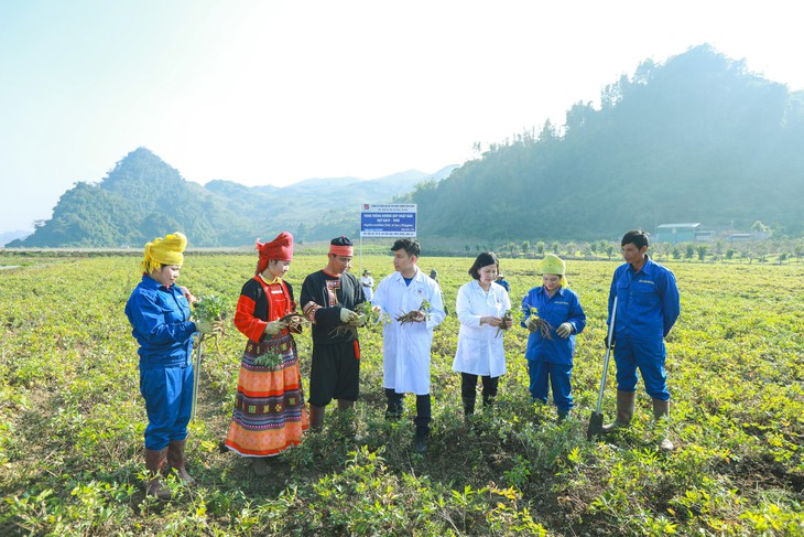 Dược liệu sạch, nhà máy GMP – Hành trình 'làm thật' của Dược phẩm Tâm Bình - Ảnh 1.