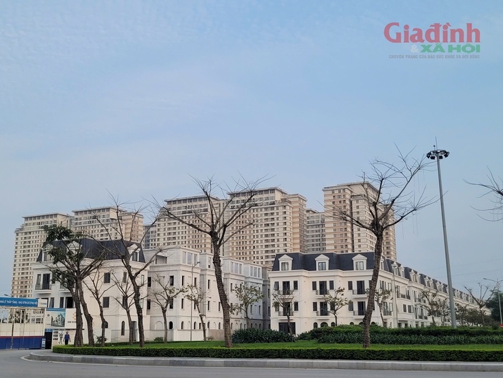 Phát triển nhà ở cho thuê: Chính sách mới của Hà Nội mang lại lợi ích gì cho người dân?- Ảnh 1.