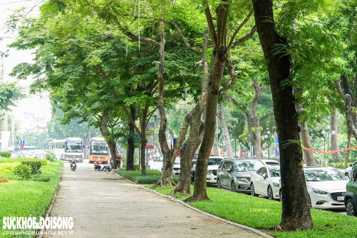 Cận cảnh khu vực sắp xây quảng trường cạnh Công viên Thống Nhất- Ảnh 12.