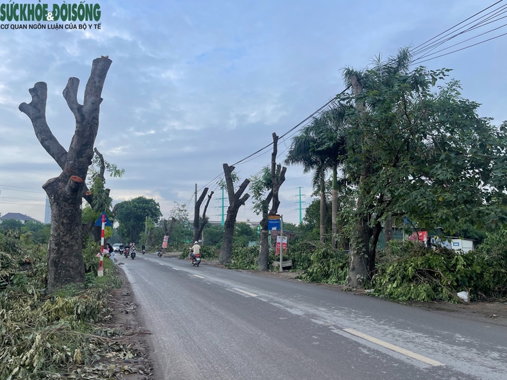 Dự án đường 70 qua Xuân Phương, Hà Nội: Hàng loạt cây xanh, nhà xưởng được dỡ bỏ- Ảnh 1.