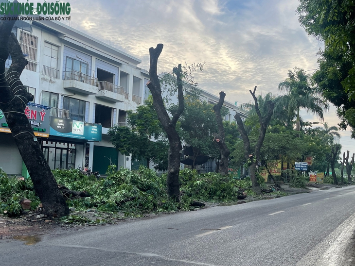 Dự án đường 70 qua Xuân Phương, Hà Nội: Hàng loạt cây xanh, nhà xưởng được dỡ bỏ- Ảnh 2.