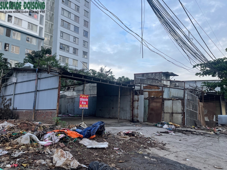 Dự án đường 70 qua Xuân Phương, Hà Nội: Hàng loạt cây xanh, nhà xưởng được dỡ bỏ- Ảnh 3.