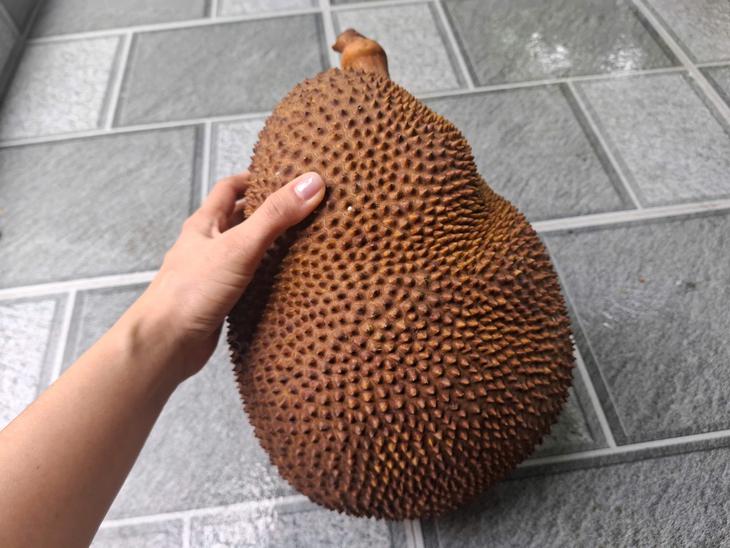 Điều gì khiến mít mật năm nay 'nổi như cồn'?- Ảnh 2.