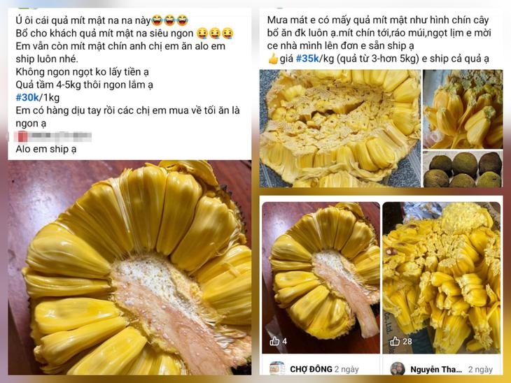 Điều gì khiến mít mật năm nay 'nổi như cồn'?- Ảnh 4.