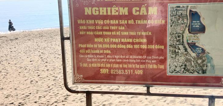 Điều cấm ở biển Nha Trang, người dân và du khách cần biết - Ảnh 2.