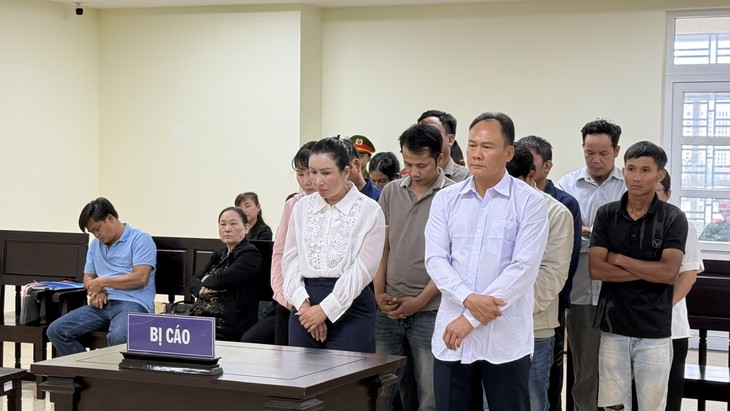 Hai tổng giám đốc lĩnh án vì sản xuất, buôn bán phân bón giả - Ảnh 1.