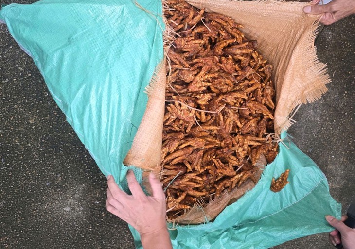 Hơn 2 tấn chân gà khô không rõ nguồn gốc được phát hiện bên trong 130 bao tải dứa- Ảnh 1.