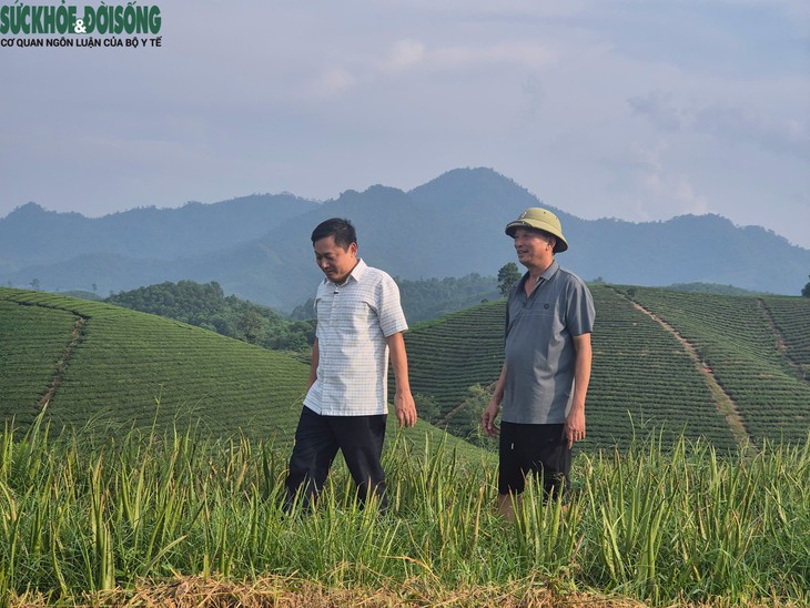 Bí thư xã ở Phú Thọ dậy từ 5 giờ sáng, lên đồi chè quay video quảng bá du lịch- Ảnh 4.