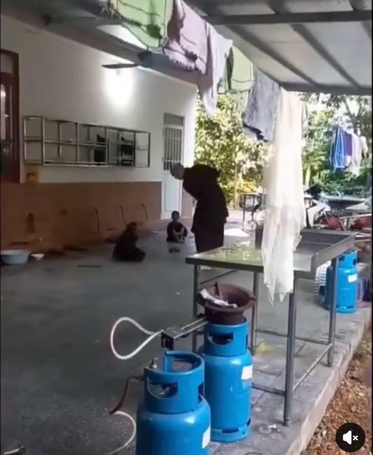 Thông tin mới nhất về vụ cháu bé bị người mặc áo nâu đánh trong khuôn viên chùa- Ảnh 1.