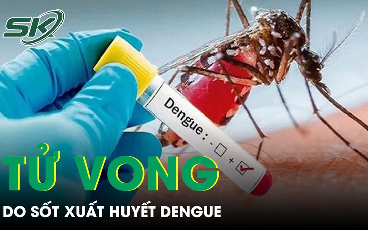 Lâm Đồng: Dịch tay chân miệng, sốt xuất huyết diễn biến phức tạp - Ảnh 2.