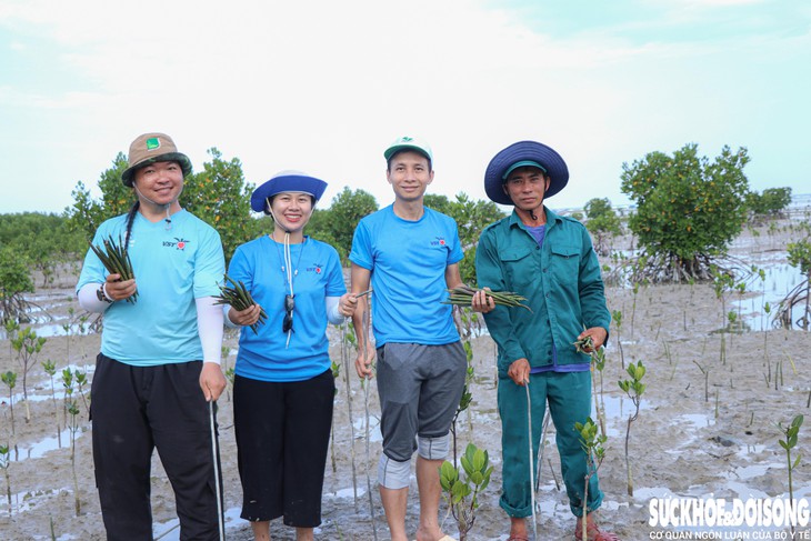Người dân chung tay hồi sinh rừng ngập mặn ở Khánh Hòa- Ảnh 6.