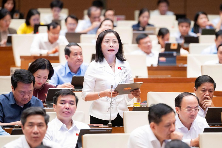 Nhiều ĐBQH nhất trí cao với chủ trương thành lập thành phố Quảng Ninh- Ảnh 2.