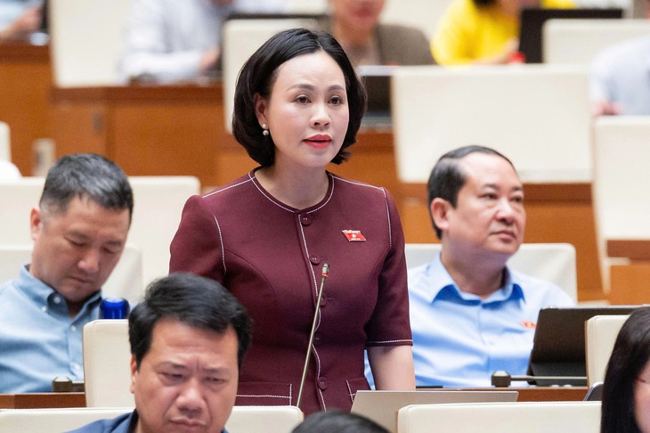 Nhiều ĐBQH nhất trí cao với chủ trương thành lập thành phố Quảng Ninh- Ảnh 1.