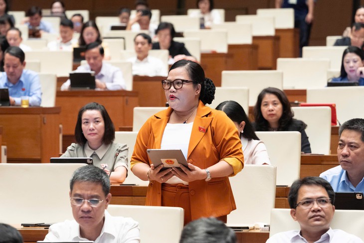 ĐBQH 'mổ xẻ' cơ chế chia sẻ hạ tầng viễn thông- Ảnh 4.