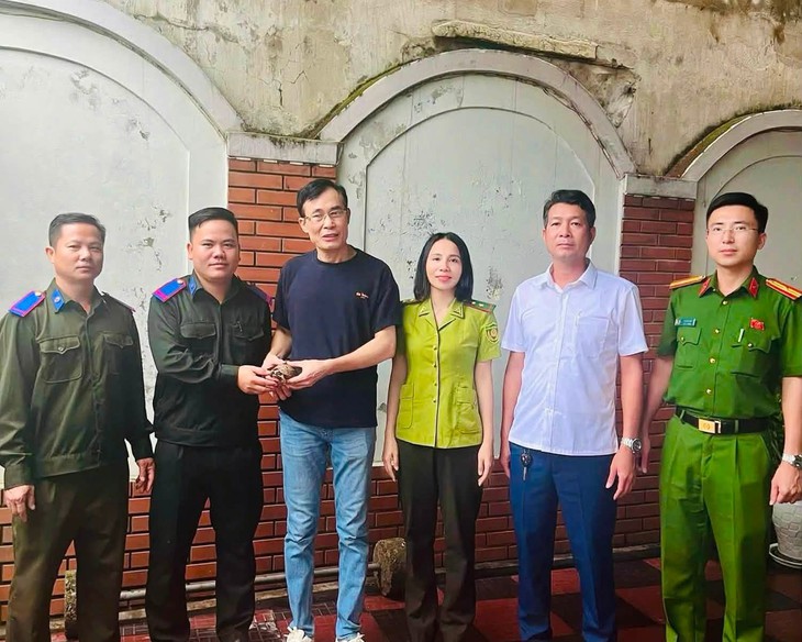 Người dân tự nguyện giao nộp rùa núi vàng quý hiếm - Ảnh 1.