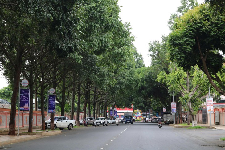  - Ảnh 1.