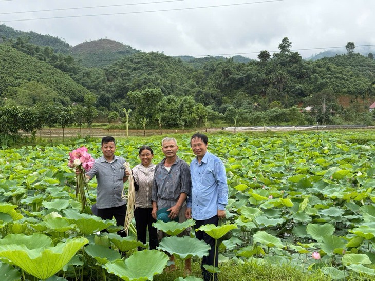 Sắp có hội thảo quốc gia về hoa sen gắn với phát triển làng nghề- Ảnh 1.