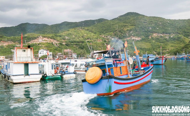 Ngắm 'vịnh xanh' bên triền núi ở Khánh Hòa- Ảnh 7.