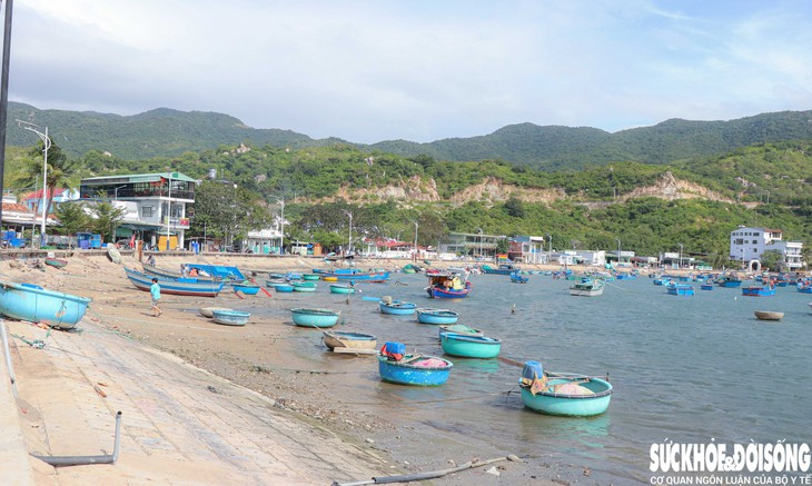Ngắm 'vịnh xanh' bên triền núi ở Khánh Hòa- Ảnh 2.