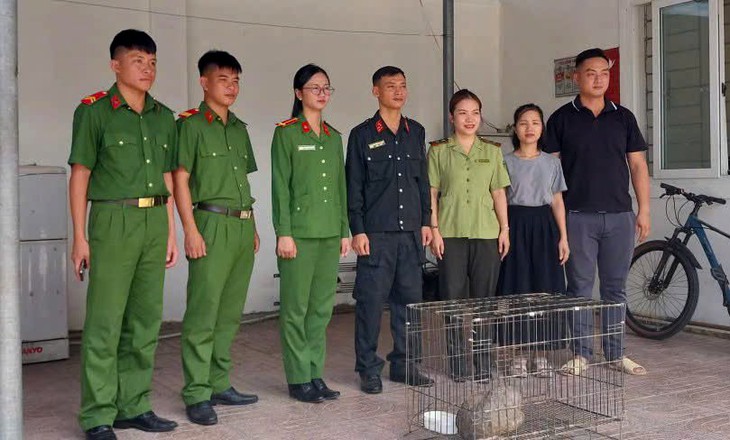 Phát hiện 'vị khách' quý hiếm trên đường dân sinh lúc tối muộn - Ảnh 2.