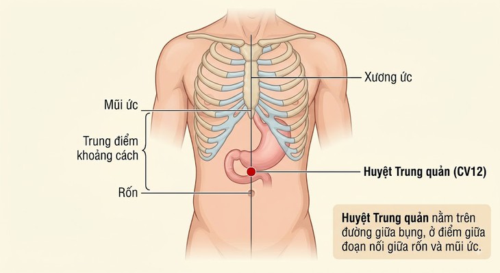 Xoa bóp bấm huyệt hỗ trợ người bệnh dạ dày - Ảnh 1.