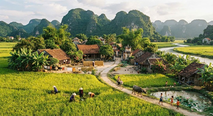 Thủ tục cấp giấy chứng nhận quyền sử dụng đất trước ngày 1/8/2024 - Ảnh 1.