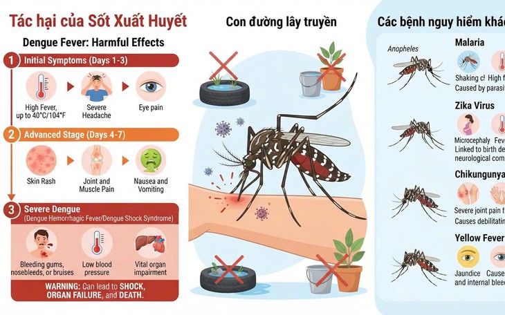 Miễn, giảm nhiều khoản phí khi tích hợp 5 thông tin cơ bản trên ứng dụng VneID - Ảnh 1.