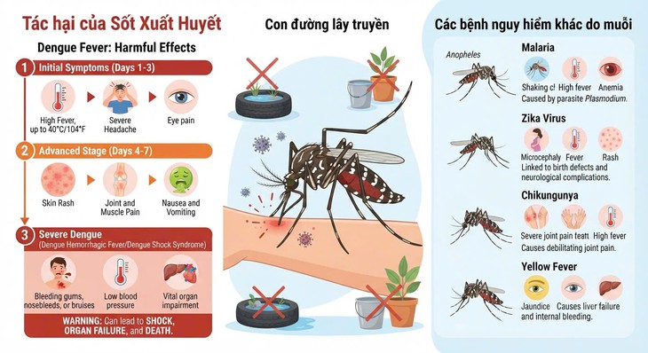 Từ 15/8/2026 đến 15/9/2026 tổ chức Tháng cao điểm phòng, chống sốt xuất huyết - Ảnh 1.