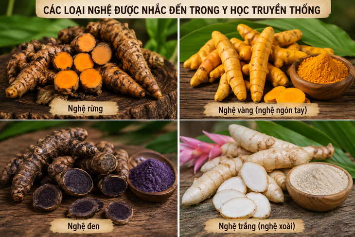 Các loại nghệ phổ biến và những điều cần biết khi sử dụng - Ảnh 1.