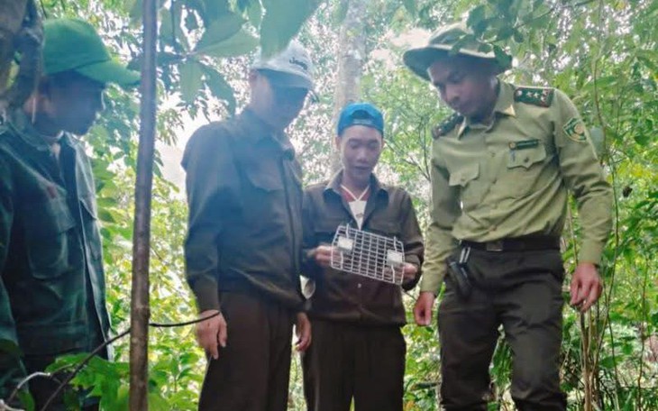 Phát hiện 2 cá thể công quý hiếm, người dân tự nguyện giao nộp - Ảnh 2.