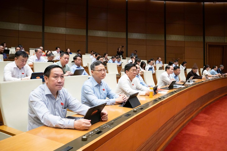 ĐBQH Nguyễn Lân Hiếu: Nên bỏ tự chủ bệnh viện tuyến cơ sở ở vùng khó khăn- Ảnh 2.