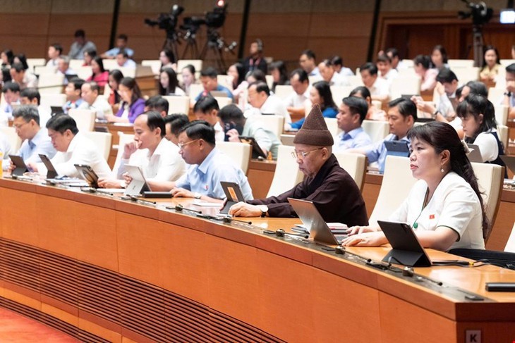 ĐBQH Tô Ái Vang: Cần can thiệp sớm để giảm suy dinh dưỡng thấp còi ở trẻ- Ảnh 3.