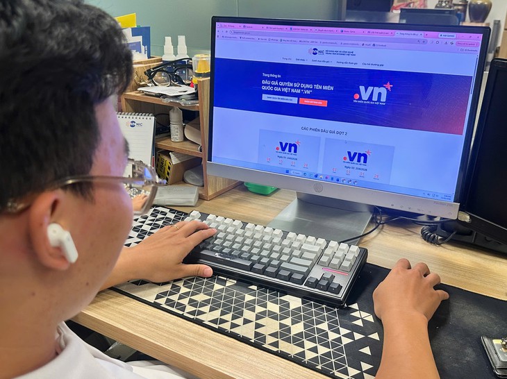 Bộ Khoa học và Công nghệ hủy đấu giá 3 tên miền ".vn" - Ảnh 1.