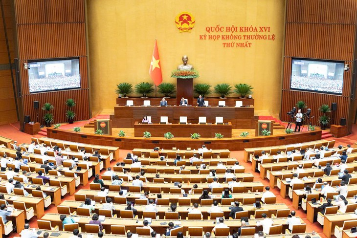ĐBQH Tô Ái Vang: Cần can thiệp sớm để giảm suy dinh dưỡng thấp còi ở trẻ- Ảnh 1.