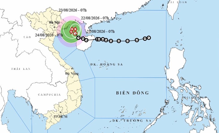 Thủ tướng yêu cầu sẵn sàng ứng phó áp thấp nhiệt đới - Ảnh 1.