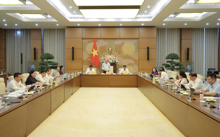 Đề xuất sửa toàn diện Luật Nuôi con nuôi, tăng bảo vệ quyền lợi trẻ em- Ảnh 5.